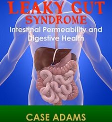 leaky gut syndrome and intestinal permeability