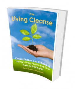 The Living Cleanse by Case Adams