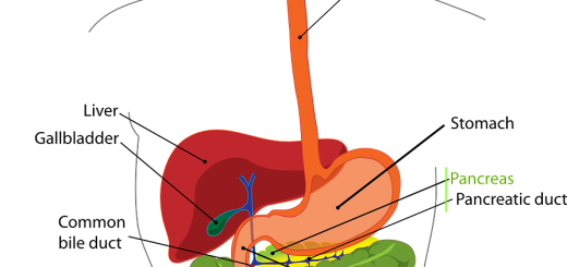 colon hydrotherapy is healthy