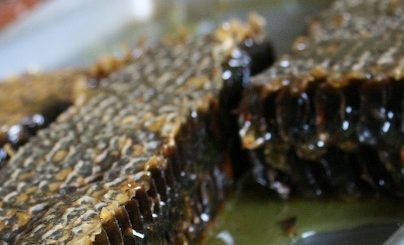 raw honey heals ulcers and wounds