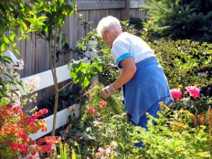 gardening and forest walking boosts wellness