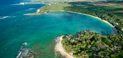 Kahuku and Kawela bay conservation