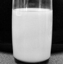 organic milk fats are better than conventional milk