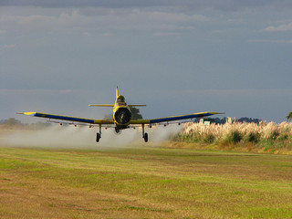 glyphosate and roundup possible carcinogen