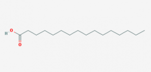 Palmitic acid linked to tumor growth