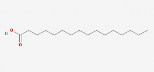 Palmitic acid linked to tumor growth