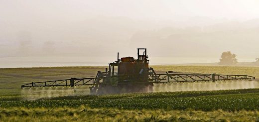 glyphosate exposure